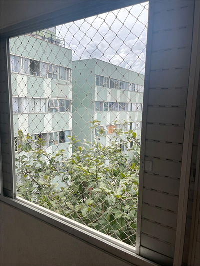 Foto REO1109977