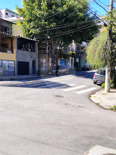Foto REO1110107