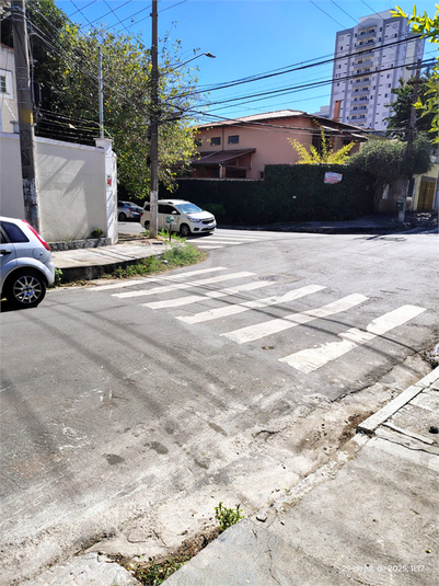Foto REO1110107