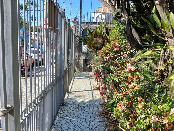 Foto REO1110112