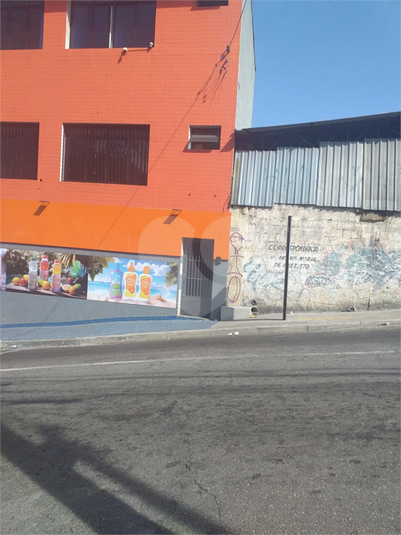 Foto REO1110130