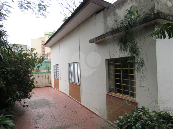 Foto REO1110173
