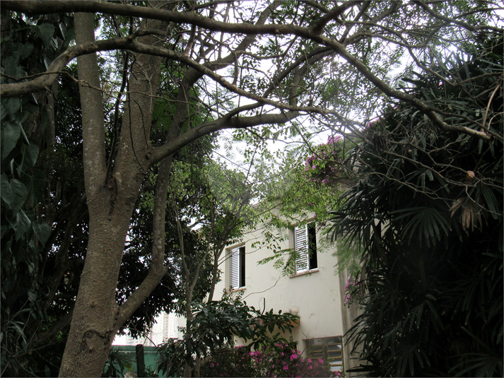 Foto REO1110173