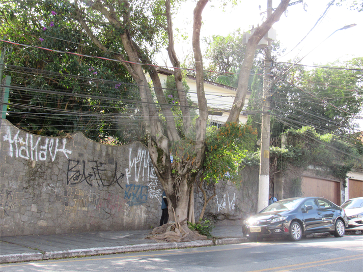 Foto REO1110173