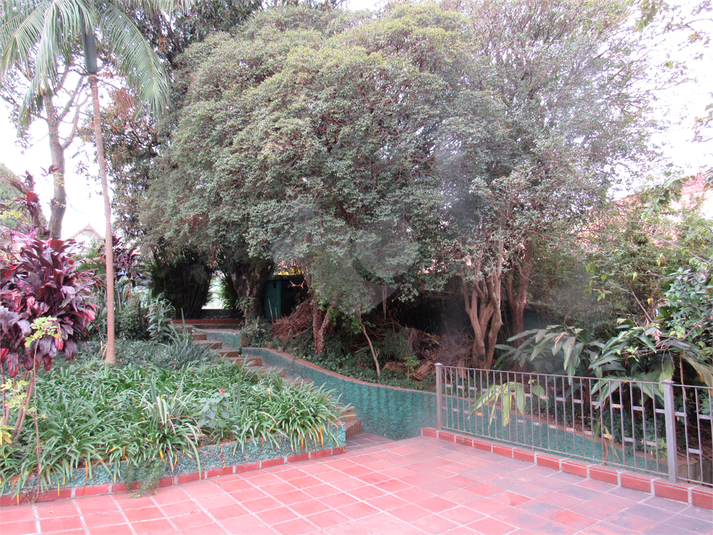 Foto REO1110173