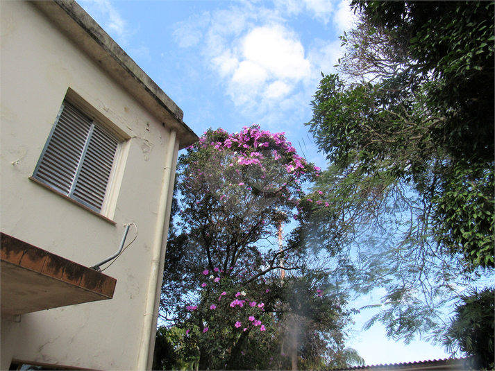 Foto REO1110173