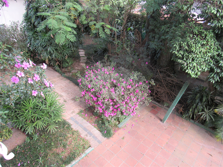 Foto REO1110173
