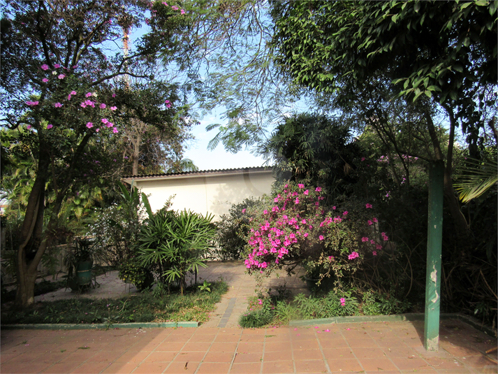 Foto REO1110173