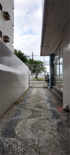 Foto REO1110236