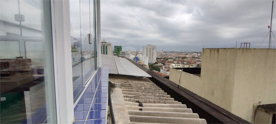 Foto REO1110236