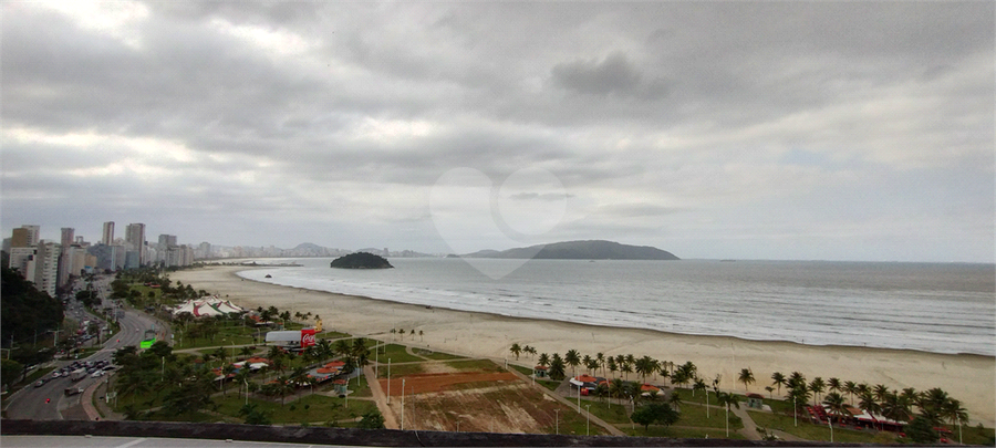 Foto REO1110236