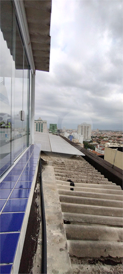 Foto REO1110236