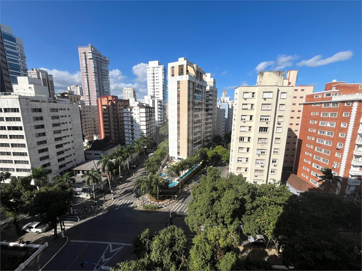 Foto REO1110245