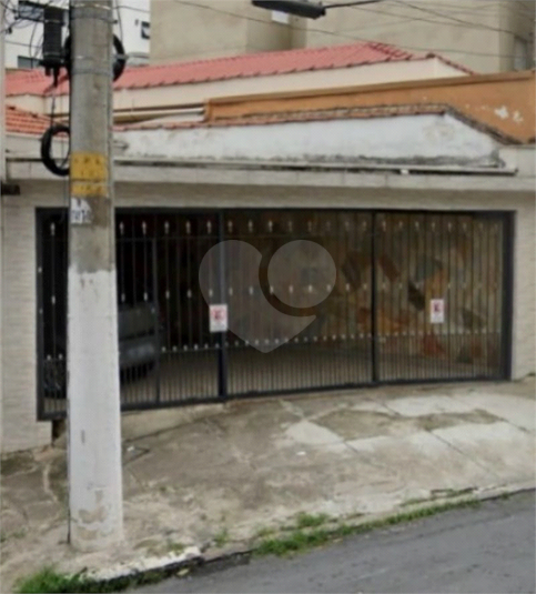 Foto REO1110253