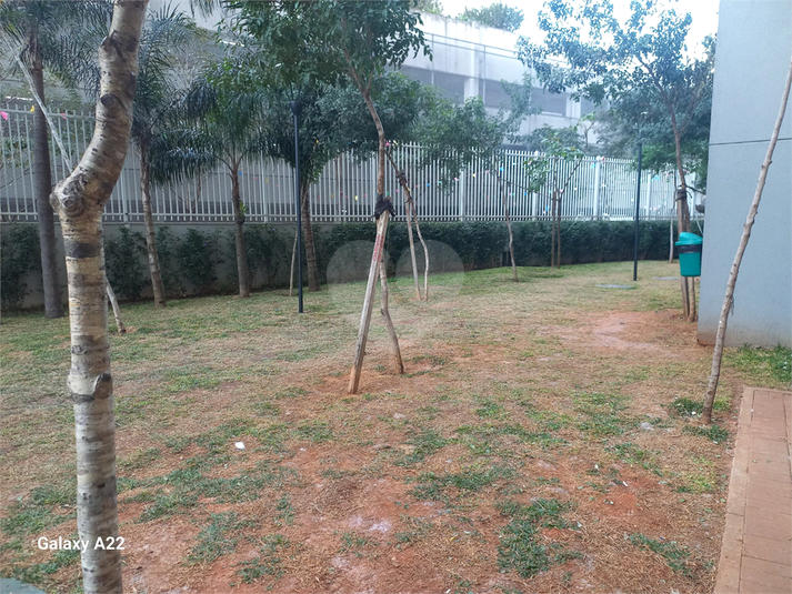 Foto REO1110286