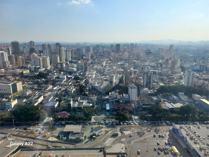 Foto REO1110286