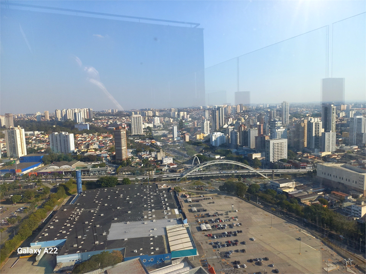 Foto REO1110286