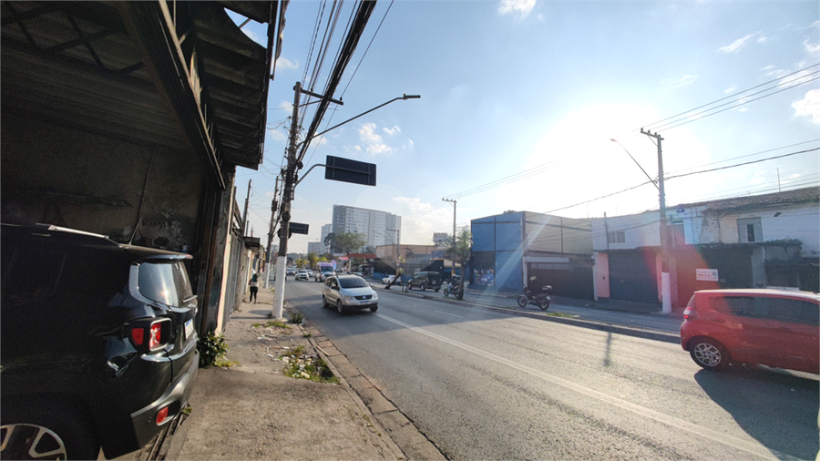 Foto REO1110287
