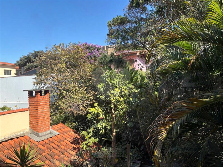 Foto REO1110306