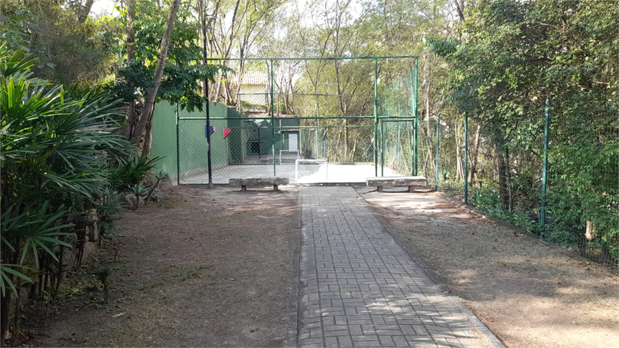 Foto REO1110367