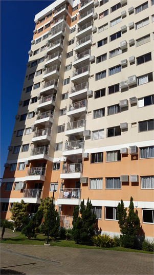 Foto REO1110367