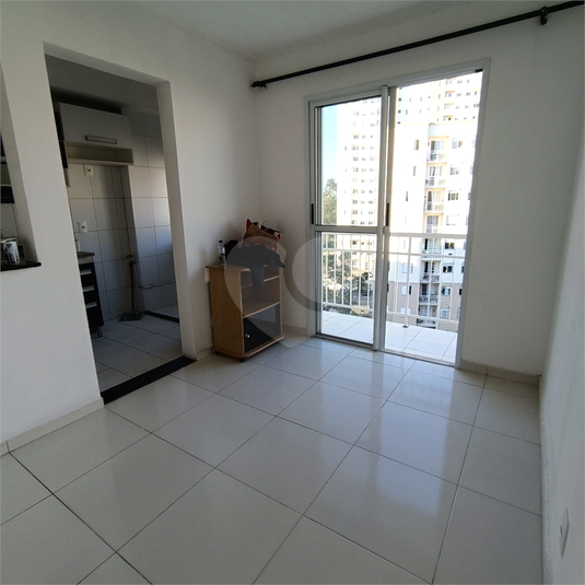 Foto REO1110382