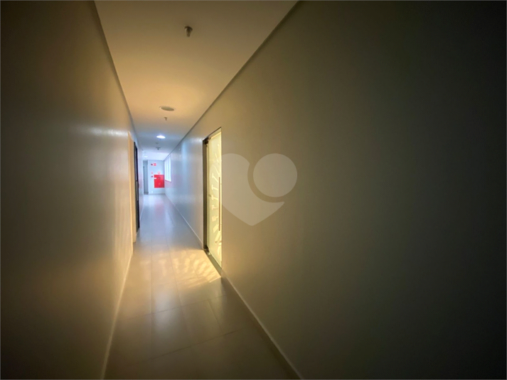 Foto REO1110385