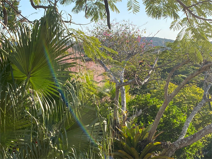 Foto REO1110391