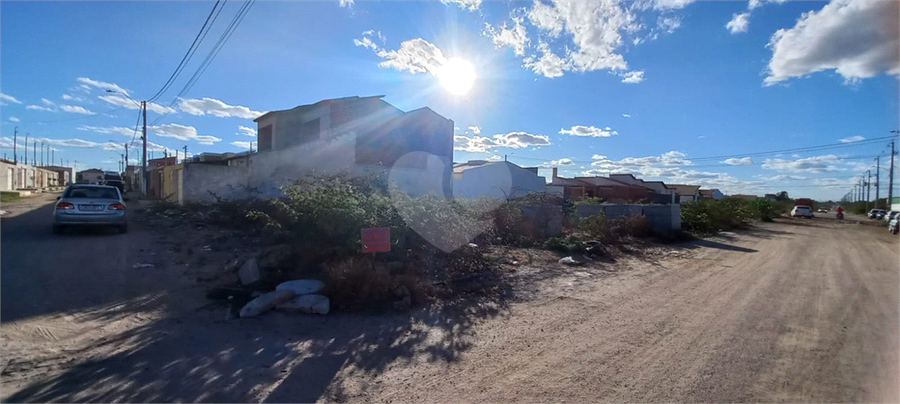Foto REO1110399