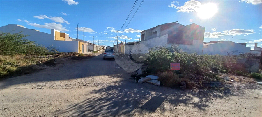 Foto REO1110399