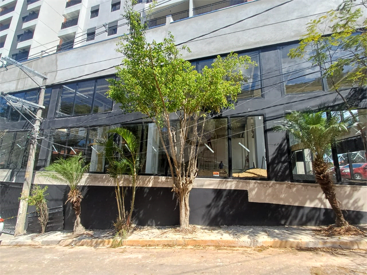 Foto REO1110427
