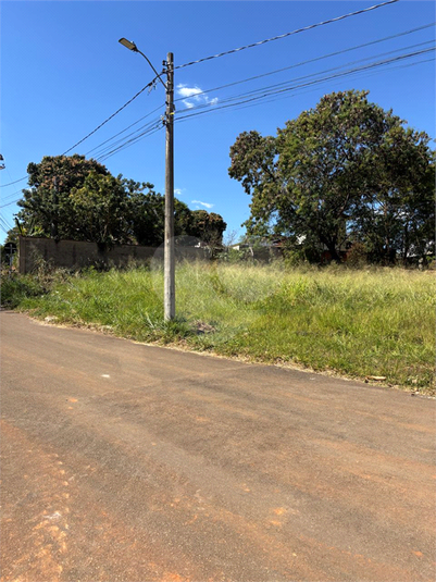 Foto REO1110448