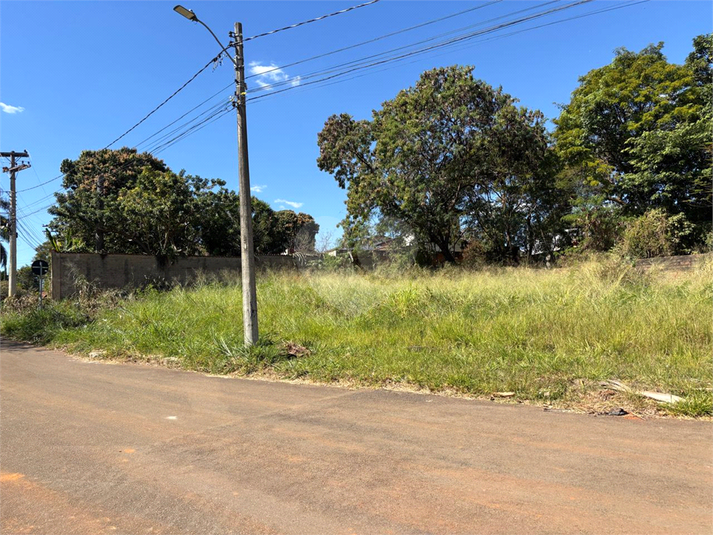 Foto REO1110448