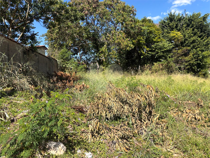 Foto REO1110448