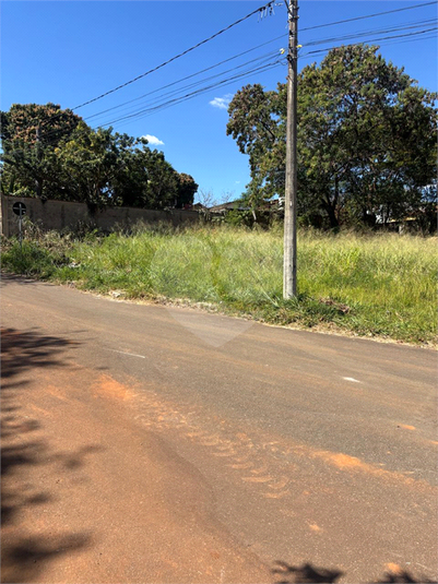 Foto REO1110448