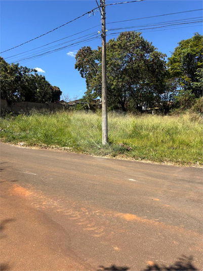Foto REO1110448