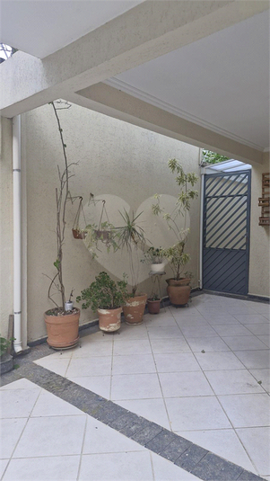 Foto REO1110458