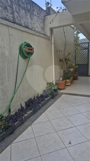 Foto REO1110458