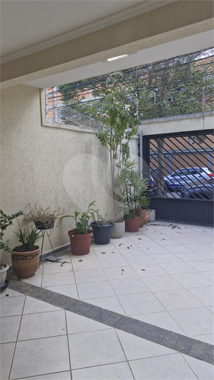 Foto REO1110458