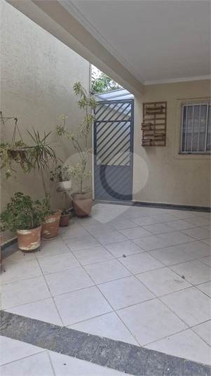 Foto REO1110458