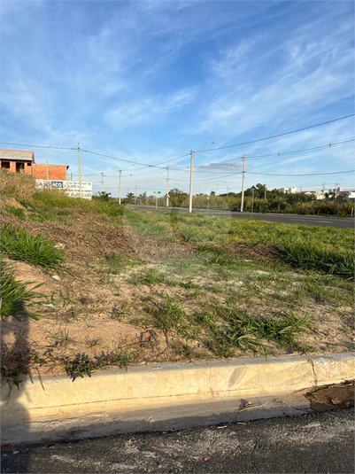 Foto REO1110465