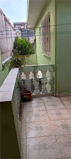 Foto REO1110466