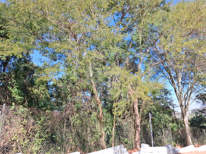 Foto REO1110472