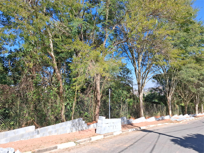 Foto REO1110472
