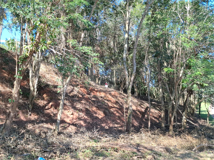 Foto REO1110472