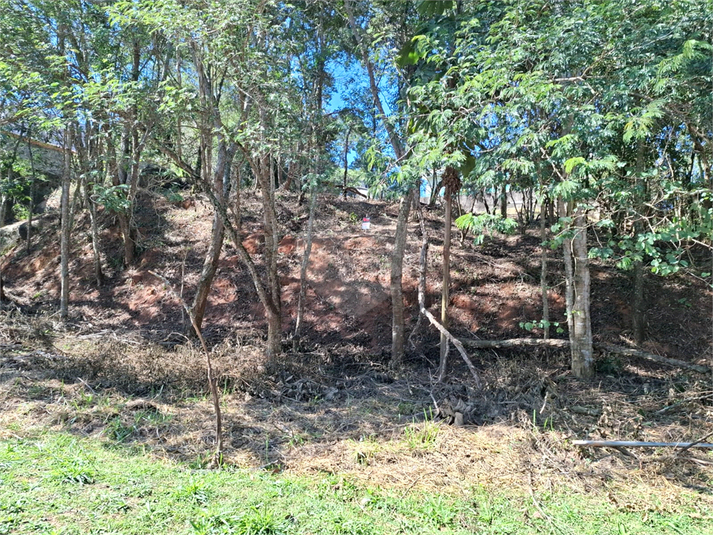 Foto REO1110472