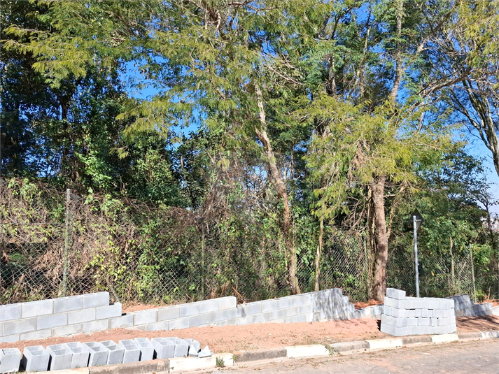 Foto REO1110472