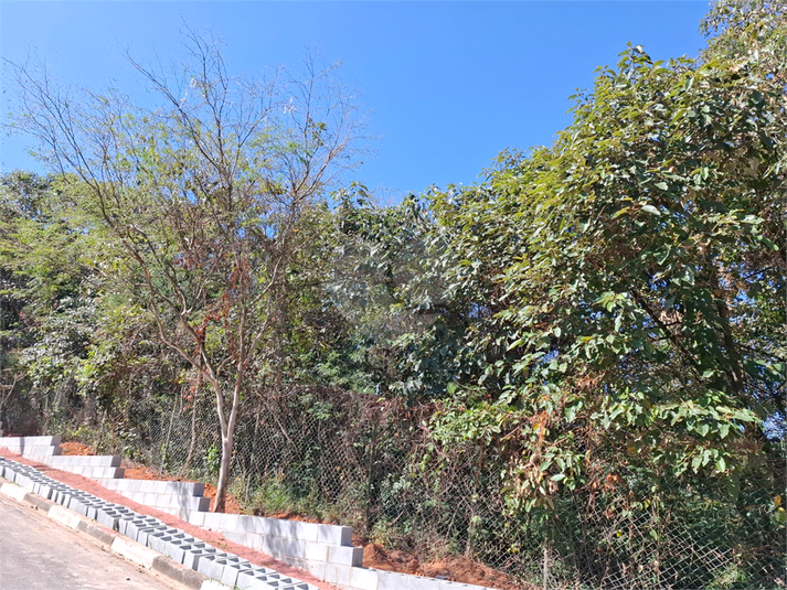 Foto REO1110472
