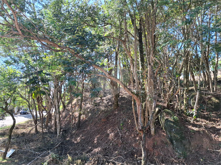 Foto REO1110472