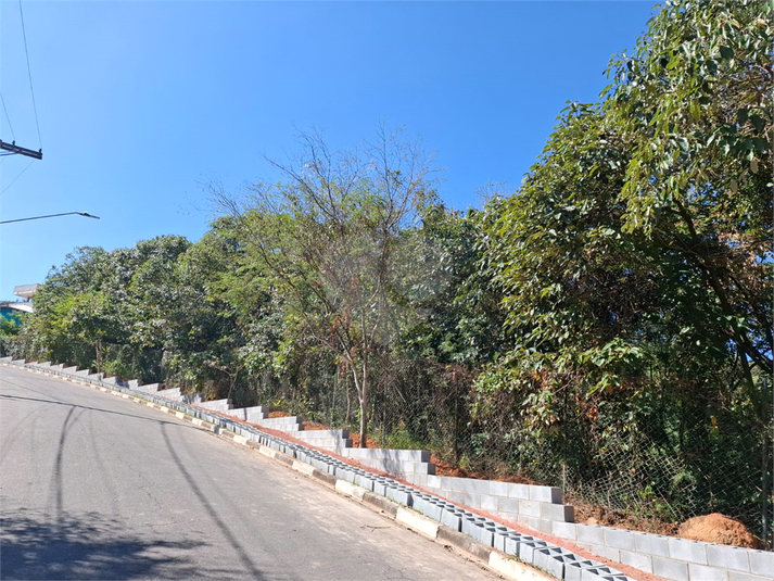 Foto REO1110472